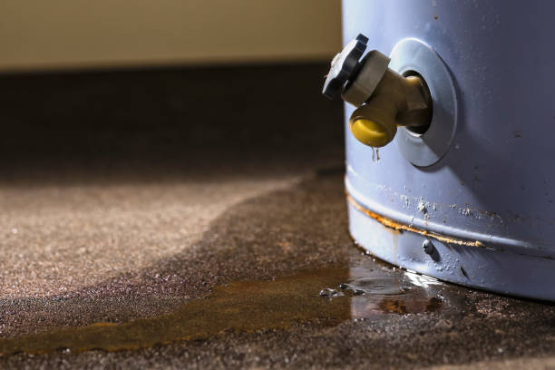 Best Flooded house restoration  in West Point, KY