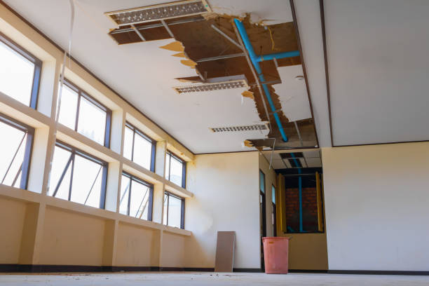 Best Water damage cleanup near me  in West Point, KY