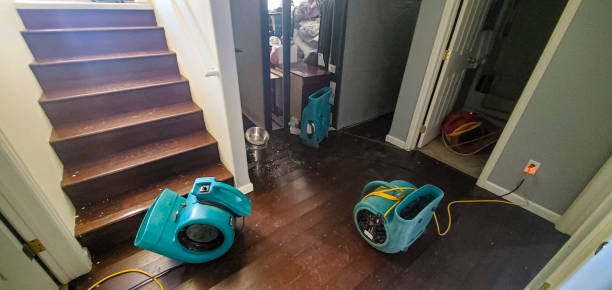 Best Ceiling water damage repair  in West Point, KY