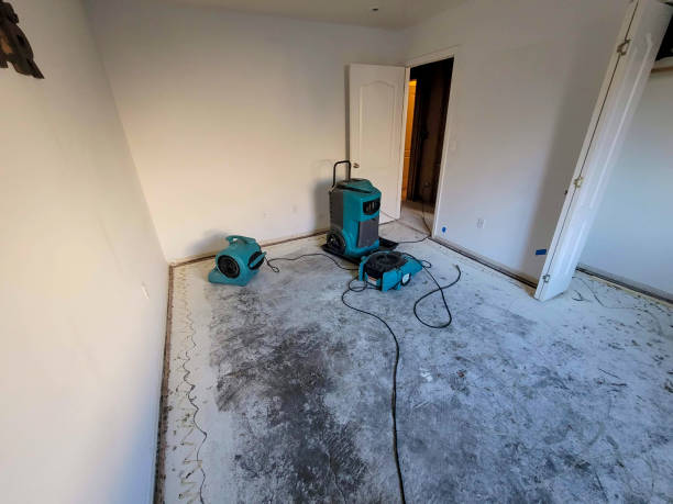 Best Water damage restoration near me  in West Point, KY
