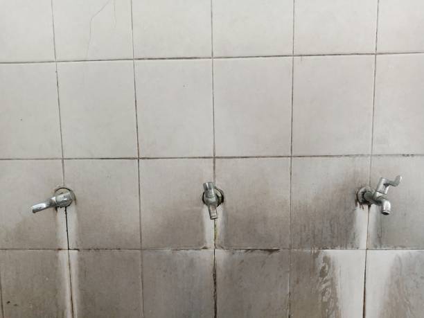 Best Mold removal after water damage  in West Point, KY