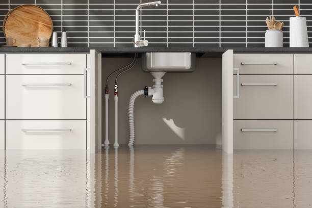 Best Basement water damage restoration  in West Point, KY