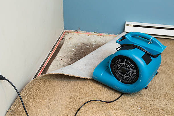 Best Local water damage restoration  in West Point, KY